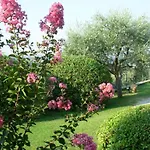 Archi